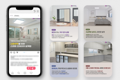 보여주는 가구, 인투시