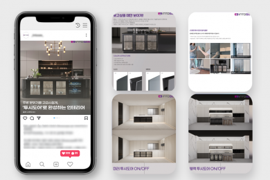 보여주는 가구, 인투시